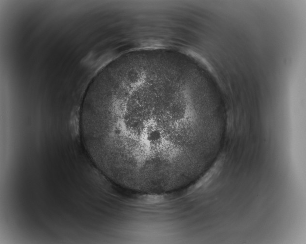X0000090721409200707201338