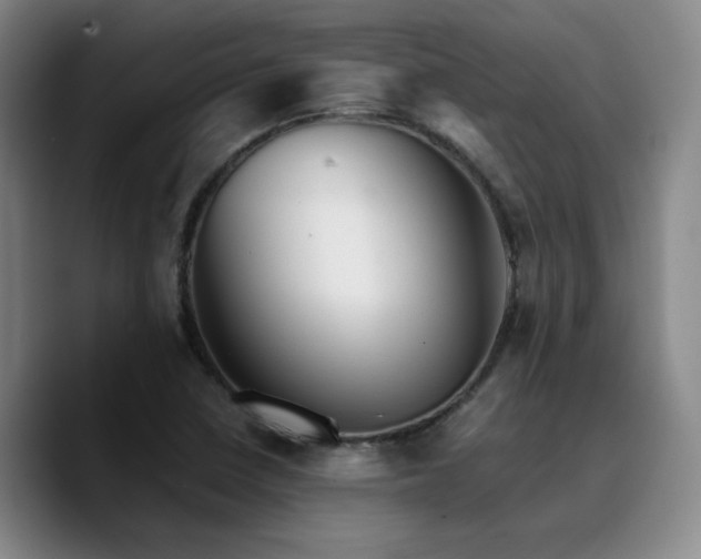 X0000090721410200707201338