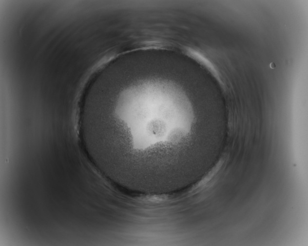 X0000090721411200707201338
