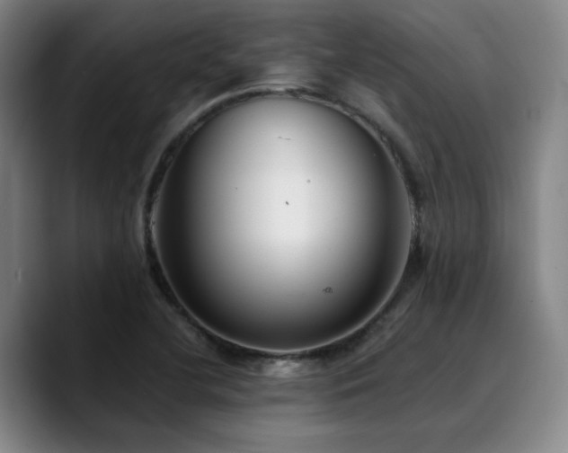 X0000090721412200707201338