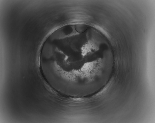 X0000090721413200707201338