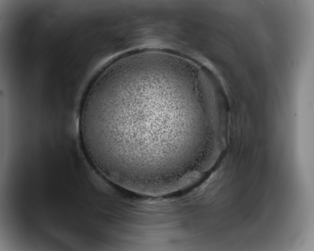 X0000090721416200707201338