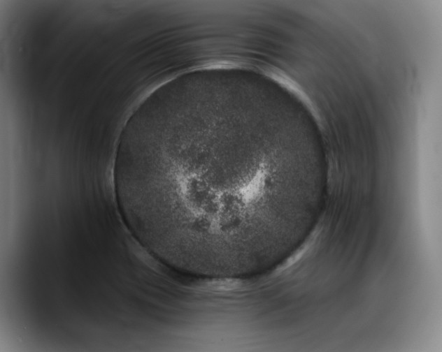 X0000090721417200707201338