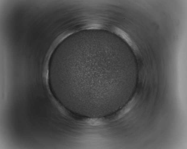 X0000090721418200707201338