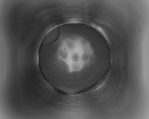 X0000090721419200707201338
