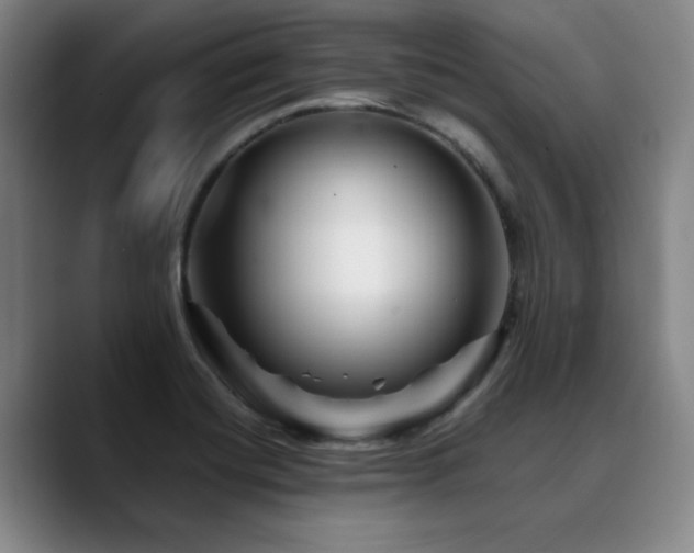 X0000090721420200707201338