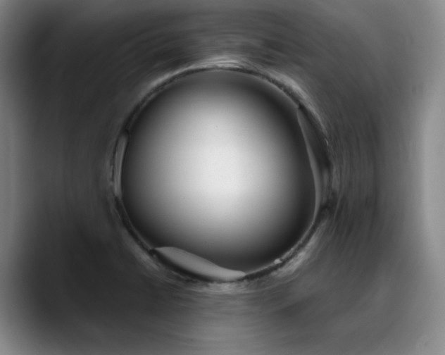 X0000090721422200707201338