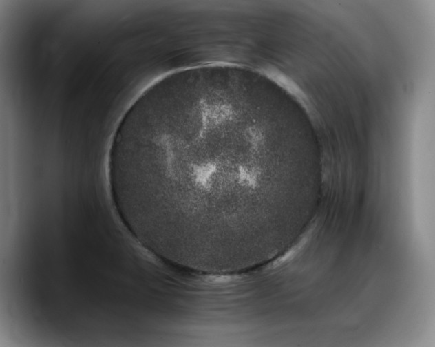 X0000090721423200707201338