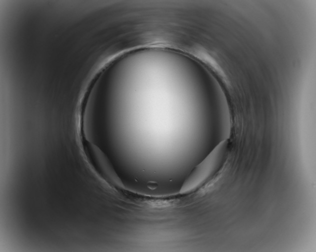 X0000090721424200707201338