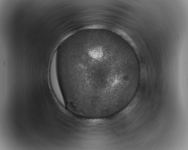 X0000090721425200707201338