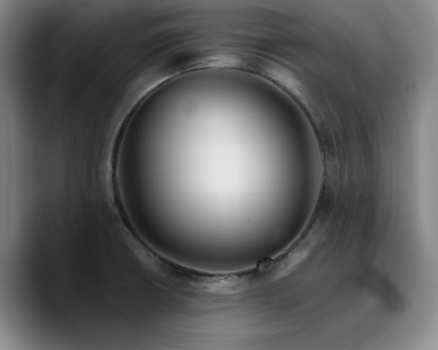 X0000090721426200707201338