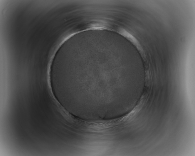 X0000090721427200707201338