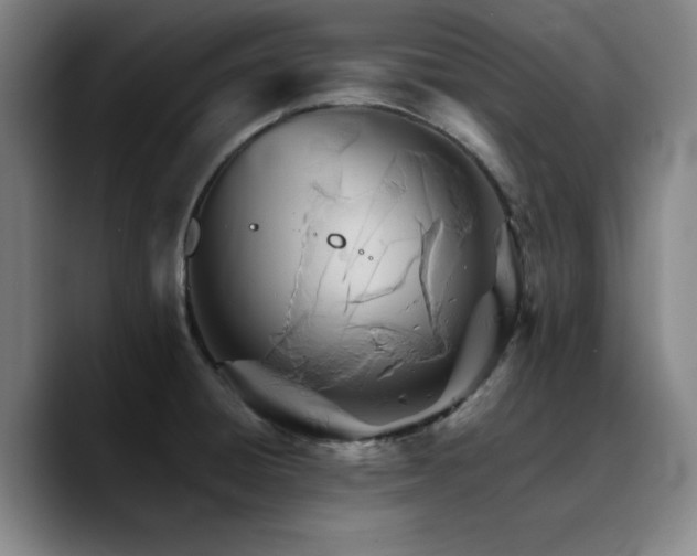 X0000090721428200707201339