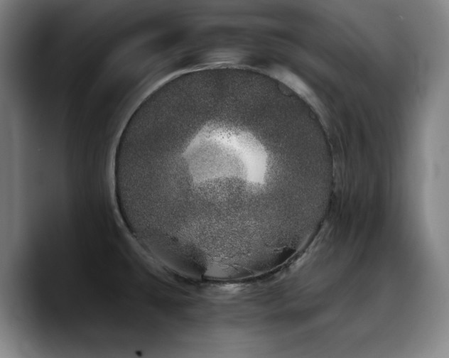 X0000090721431200707201339