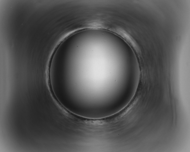 X0000090721432200707201339