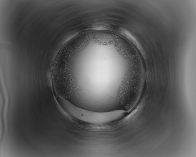 X0000090721433200707201339