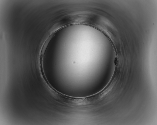 X0000090721434200707201339