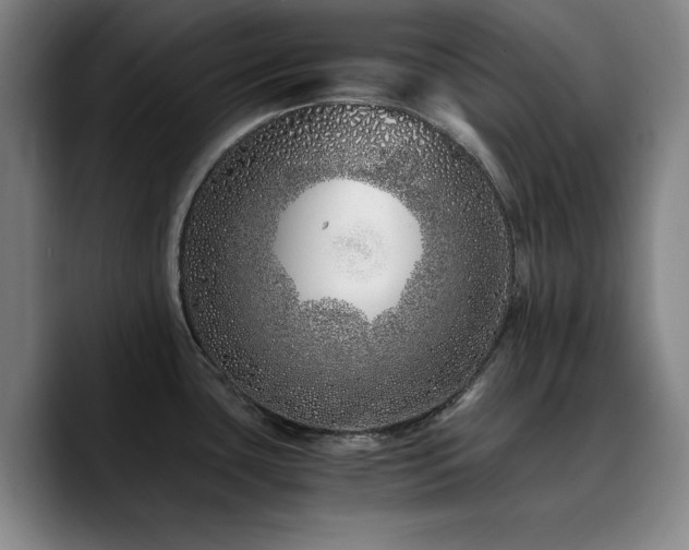 X0000090721435200707201339