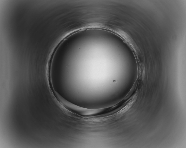 X0000090721438200707201339