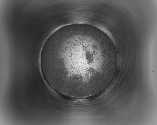 X0000090721439200707201339