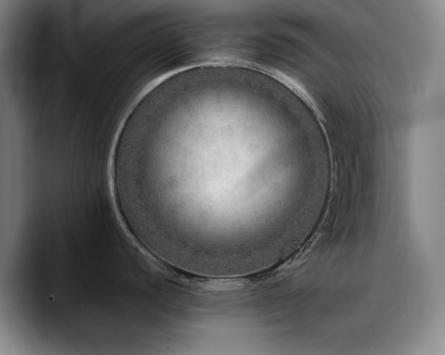 X0000090721440200707201339