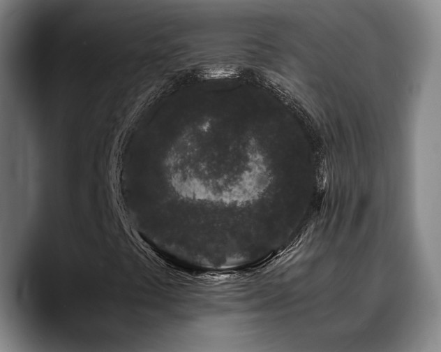X0000090721441200707201338