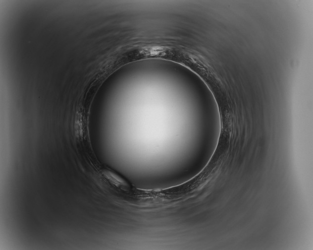 X0000090721442200707201338