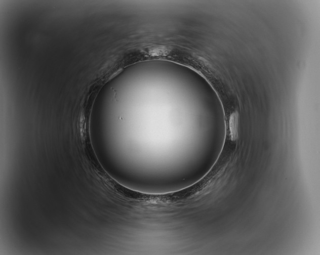 X0000090721443200707201338