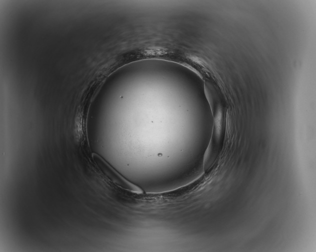 X0000090721444200707201338