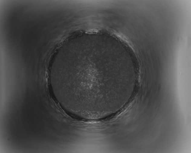 X0000090721445200707201338