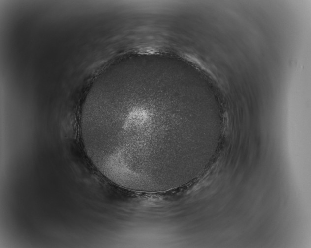 X0000090721446200707201338