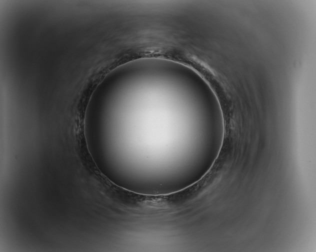 X0000090721447200707201338