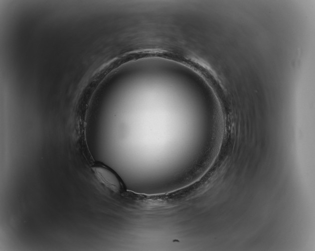 X0000090721448200707201338