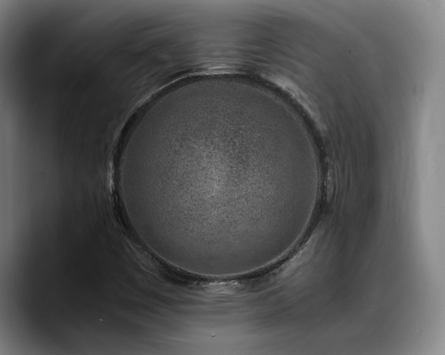 X0000090721449200707201338