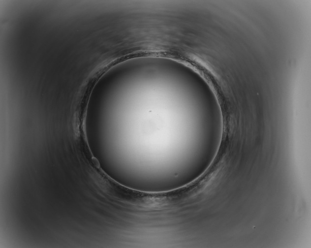 X0000090721451200707201338