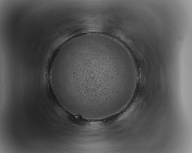 X0000090721453200707201338