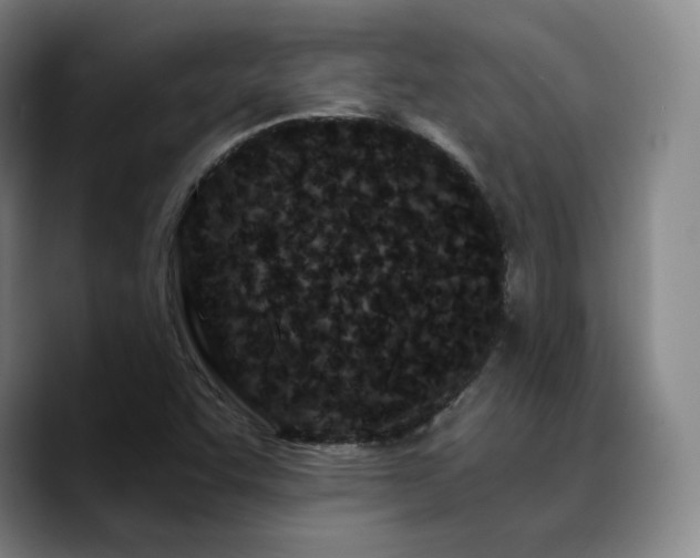 X0000090721455200707201338