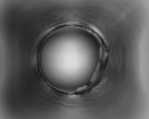 X0000090721456200707201338