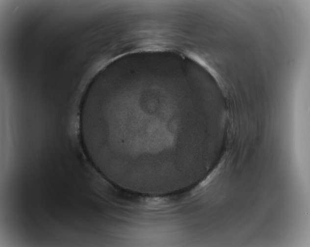 X0000090721459200707201338