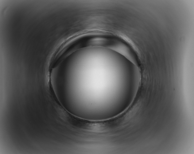 X0000090721461200707201338