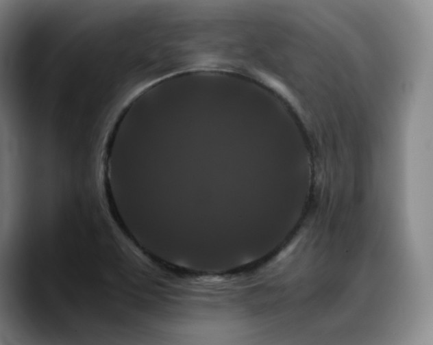 X0000090721463200707201338
