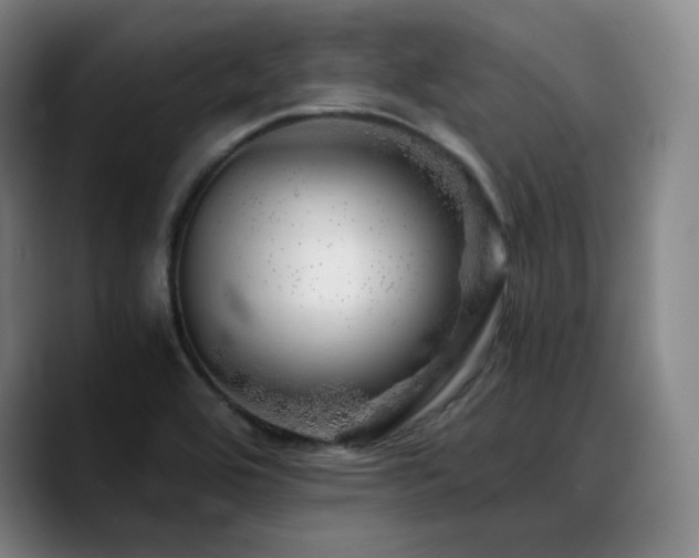 X0000090721464200707201338