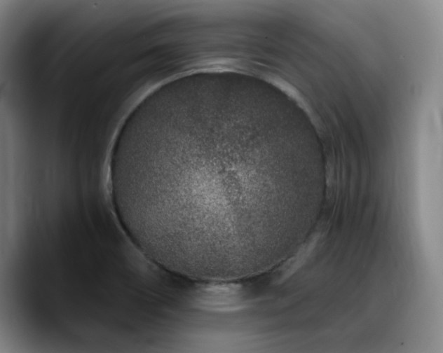 X0000090721466200707201338