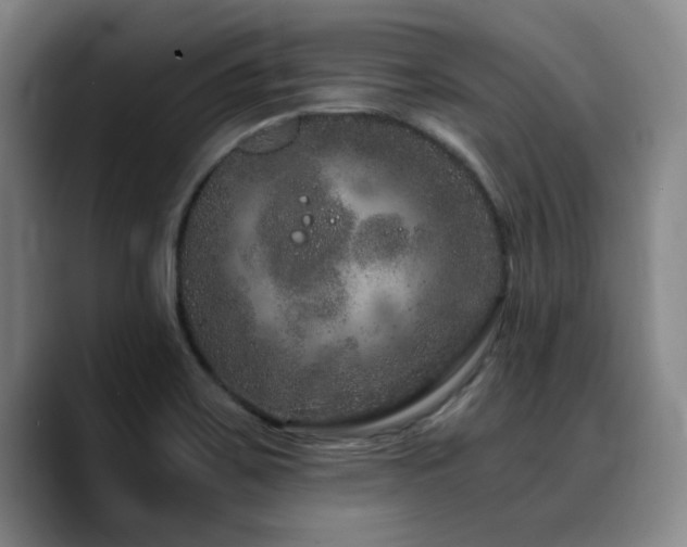 X0000090721467200707201338