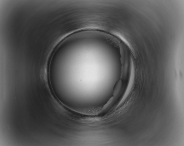 X0000090721468200707201338