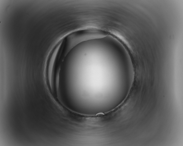 X0000090721469200707201338
