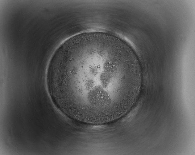 X0000090721471200707201338