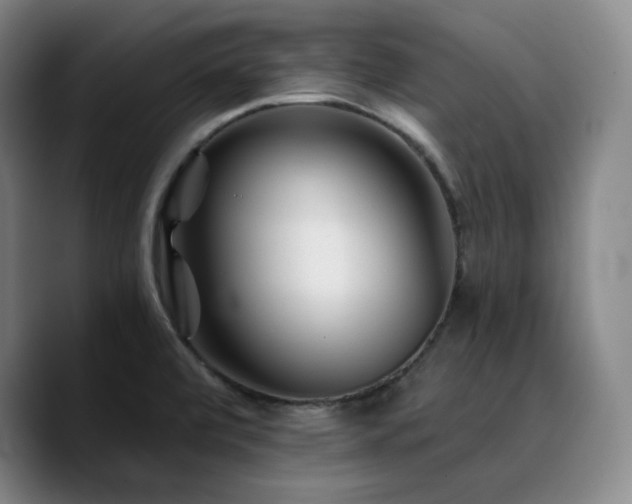 X0000090721472200707201338