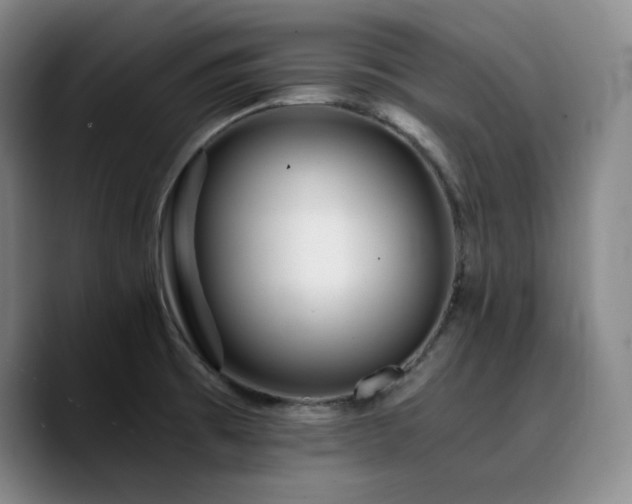 X0000090721473200707201338