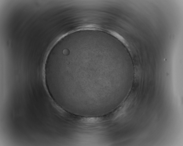 X0000090721474200707201338